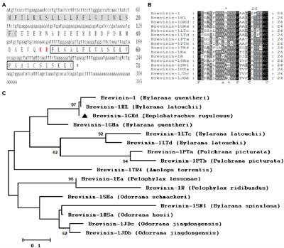 The first Brevinin-1 antimicrobial peptide with LPS-neutralizing and anti-inflammatory activities in vitro and in vivo